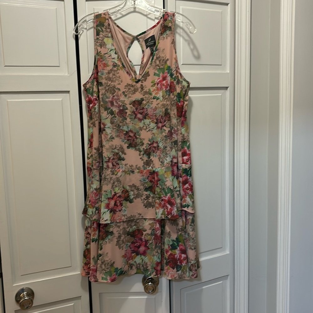 Beautiful,  feminine, sleeveless lined Adriana Papel dress.